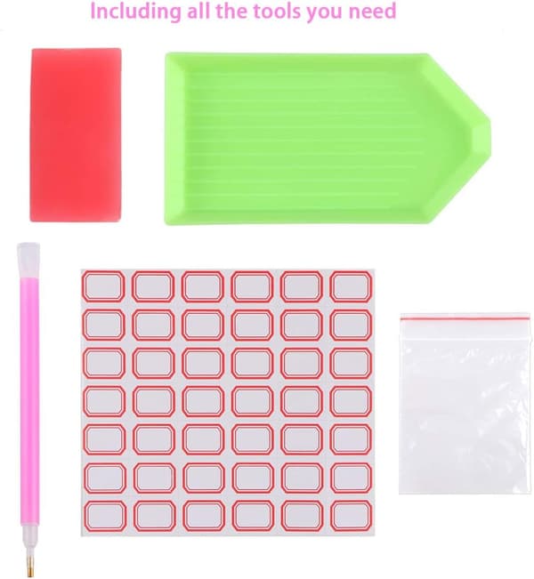 5D fullt diamantmaleri sett Prinsesse og øgle, DIY diamantmaleri