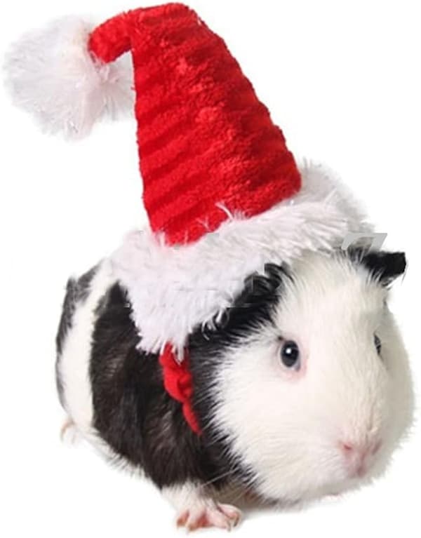 Kæledyrshat til jul, julemandshat kostume julesamling