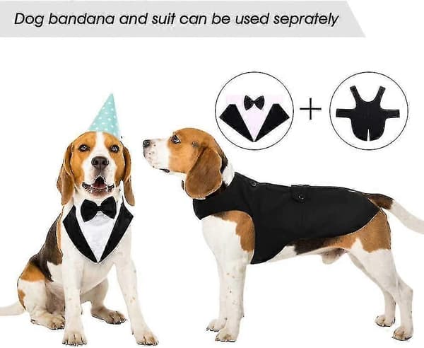 Hundsmoking, Hundbröllopsdräkt och Bandana Set 2xl