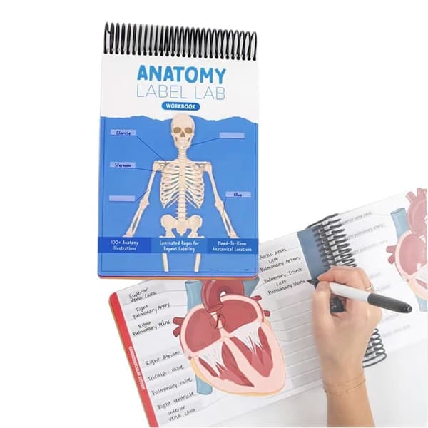 Arbejdsbog til anatomimærkning: 100+ sider fuldfarve anatomistudieguide med mærkede diagrammer og casestudier - Anatomistudieguide