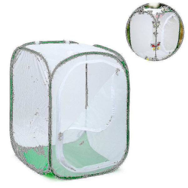 Korkea Suuri Perhonen Habitat-häkki Taittuva Terrarium Pop-up Lnches, Hyönteinen Ja Perhonen Verkosto Kasvatukseen