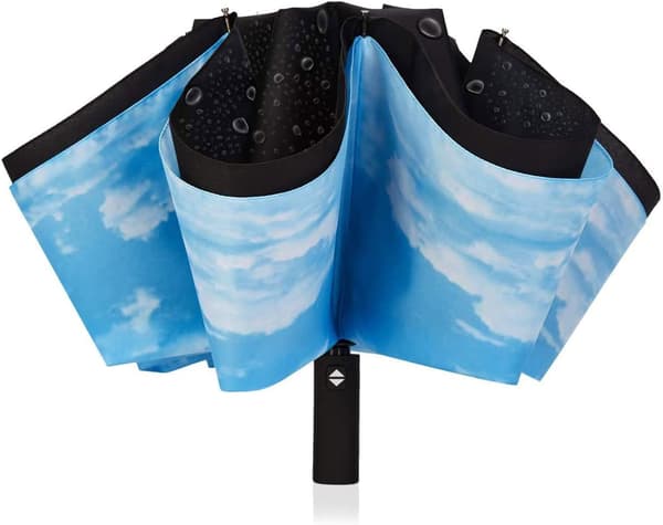 Compact Umbrella Windproof Folding Travel Umbrella - Automatic Umbrellas (Blue Sky)