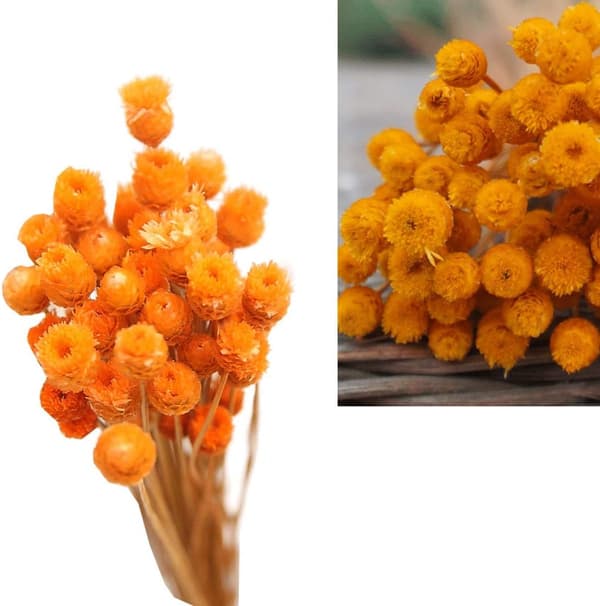 Orange - Kunstige blomster, tørret buket naturlig buket tørrede