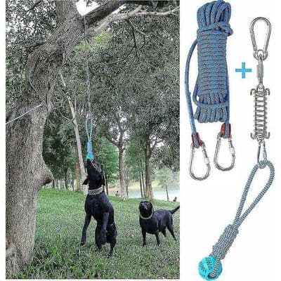 Ruikaluck YYV Outdoor Hanging Dog Training Toy with Spring Pole, Cotton Rope and Bite Ring