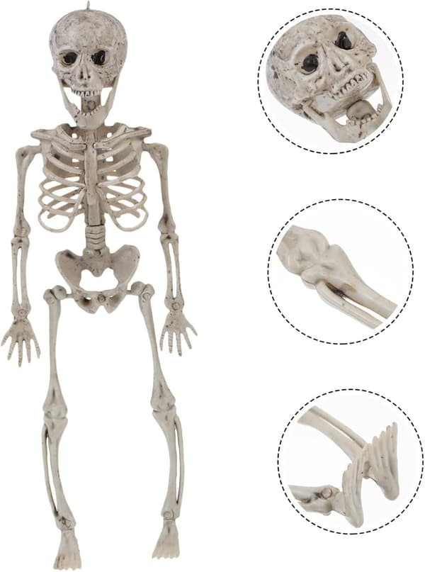 2 stk. simuleringsskelet Halloween kraniepynt Menneskeskelet
