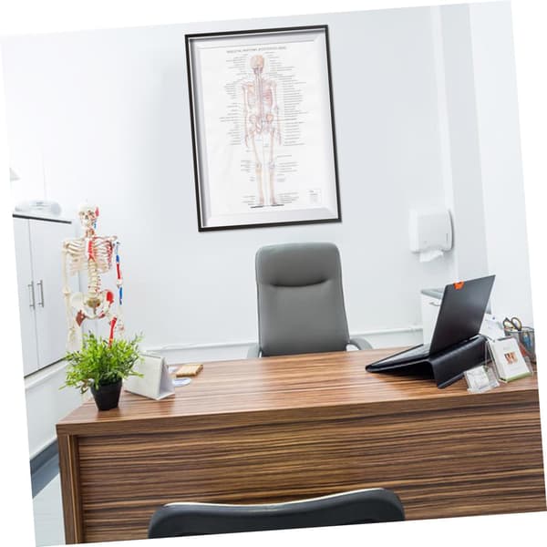 White Creative Fabric Skeleton Poster Bar Poster Teaching Decorative Wall Art