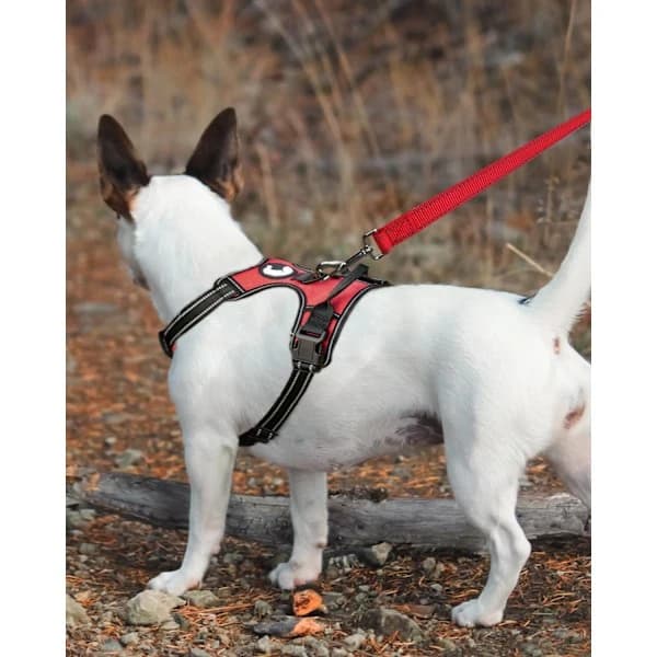 (Red) 1pc 180cm Long 1.5cm Wide Double-Sided Reflective Dog Leash with Padded Handle, Suitable Nylon Leash