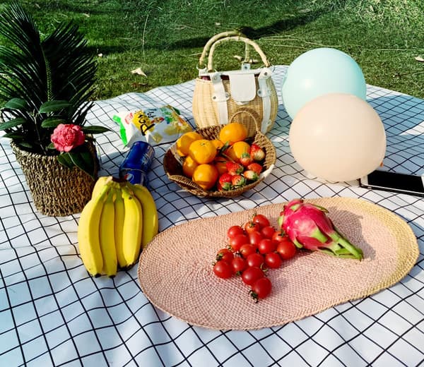 Picnic Tæppe, Strandtæppe, Fugtmåtte, Hvidt Net, 1,5*2m