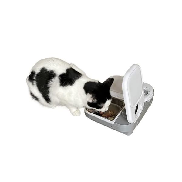 Closer Pets Automatisk Foderautomat med To Skåle og Indsatser i Rustfrit Stål (C200)