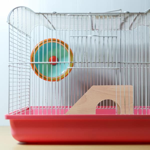 Dekorativt Hamsterhus Hamsterhytte Hamstergemmested Legetøj Træ Hamstertrappe Hus Gemmested Træhytte_yux