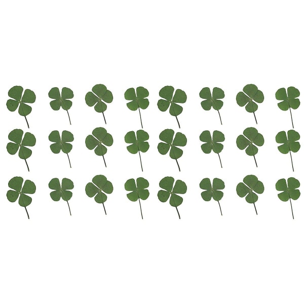 36 kpl Ihastuttavia Neliapilaa Kuivattuja Apilaa Korujen Tarvikkeita DIY-Koristeluun Kaulakoruihin Korvakoruihin Rannekkeisiin (vihreä) 24 kpl 24 pcs