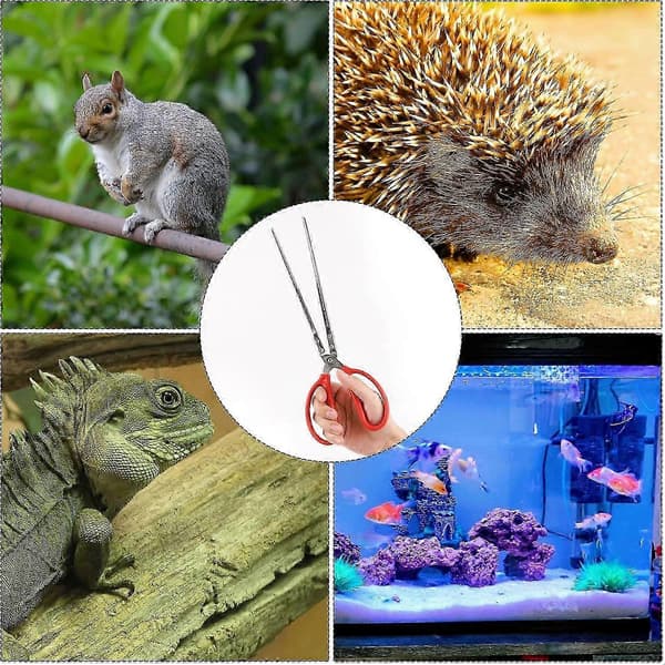 14,8 tums reptilmatningstång, lättgreppad ormmatningstång halkfri extra lång tång