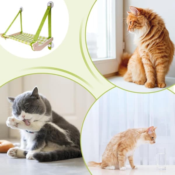 Hanging Cat Bed Window Hammock Cats Window Perch for Large Cat Foldable Cats, Stable Foldable Window Mounted Kitten Bed (Green) [Ho]