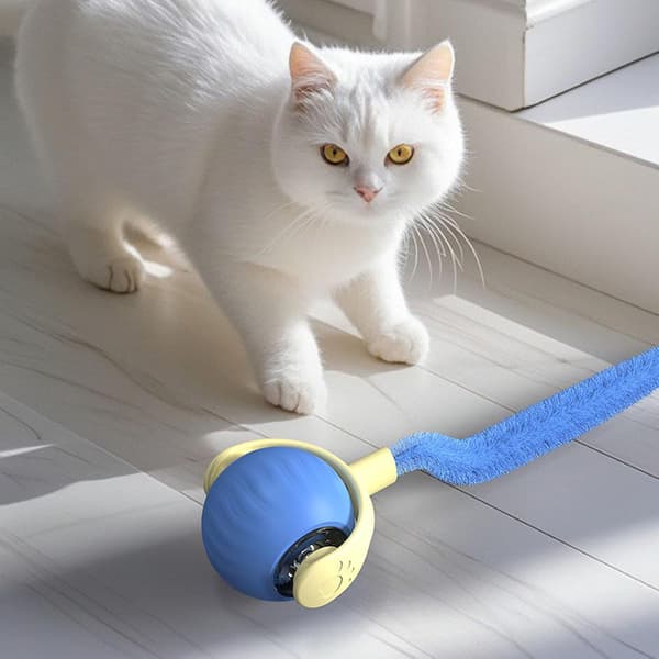 Automatic Moving Cat Toy Ball with LED Lights, Interactive Self-Charging Smart Toy for Indoor Cats, Relieves Boredom and Provides Exercise (Green) green