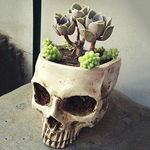 Resin Skull, Flower Pot, Halloween Decoration