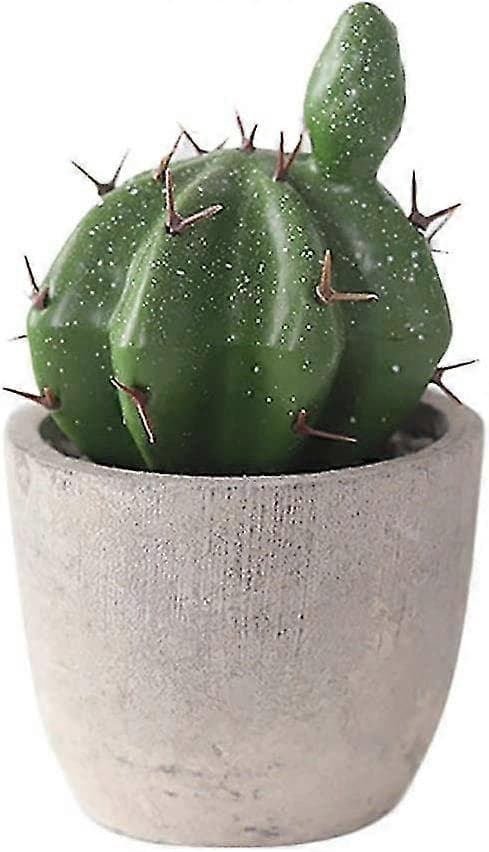 Artificial Succulents Cacti with Pots Artificial Plants Potted Mini Artificial Plant (ShiKai)