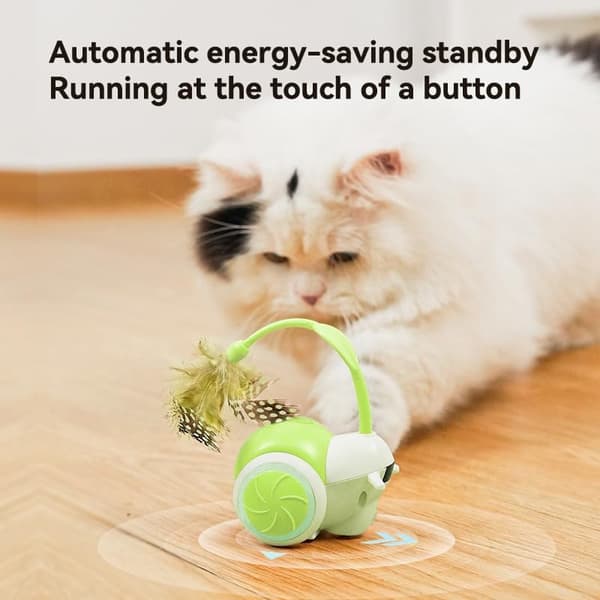 Remote Control Cat Toy for Bored Indoor Cats, Interactive Remote Control Dog Toy with LED Light and Four Directions (Green)