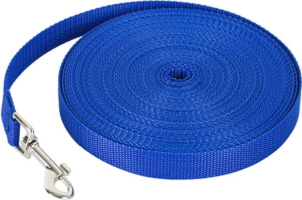 Dog Leash 20 meters - Long Leash - Nylon - 2 cm wide - Blue - Active and medium-sized dogs - For training, walks