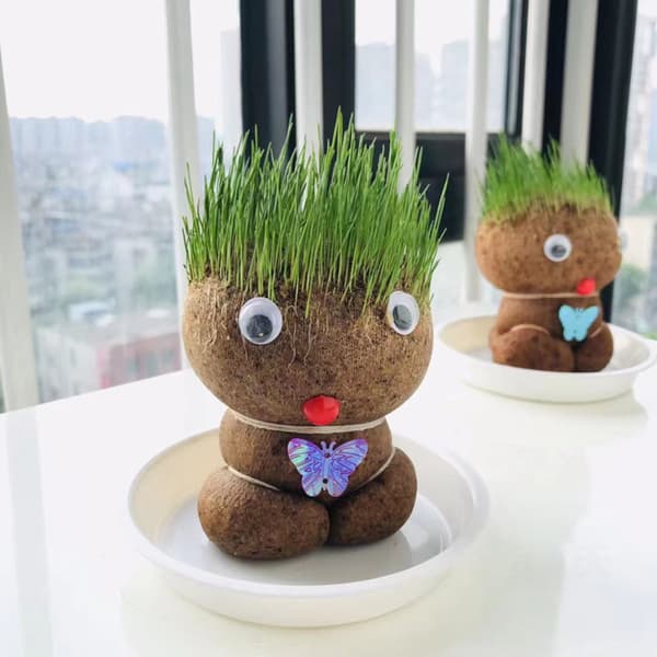 Gressdukke Dyrke Veske Potter Mini Bonsai Hode Gressdukke Kontor Hage Dekorasjonstilbehør