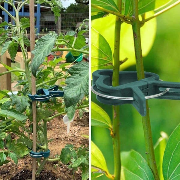 40 Plant Clips och Tomatklämmor för Trädgårdsväxter