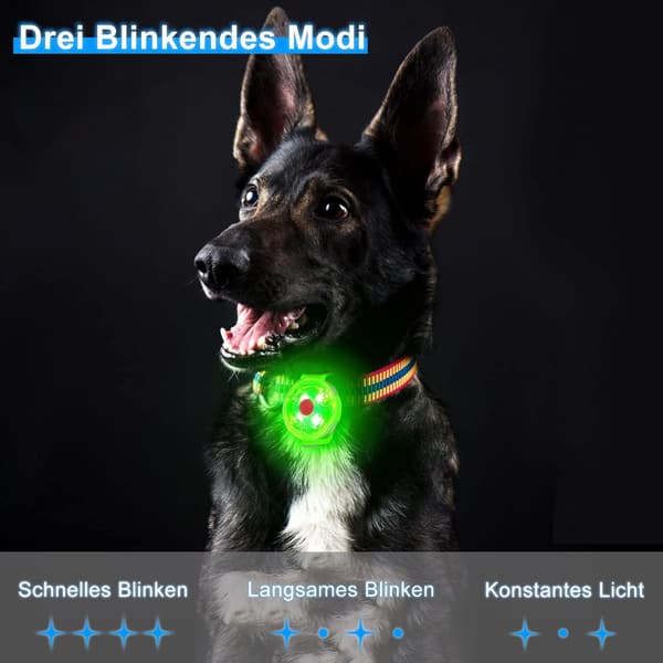 wxsp LED-blinkende lys til hunde og katte, USB-genopladelig, til hunde, 3 blinkende tilstande, vandtæt, til