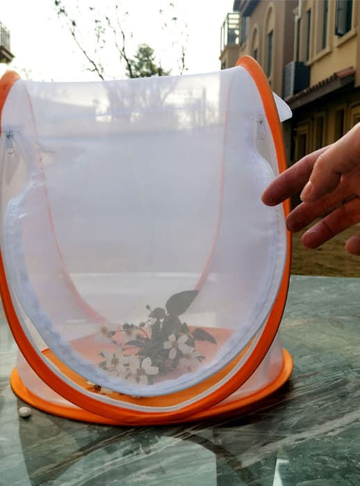 Orange Mini Växthustält med transparent skydd, bärbart hopfällbart trädgårdsskydd för växter och insektsobservation