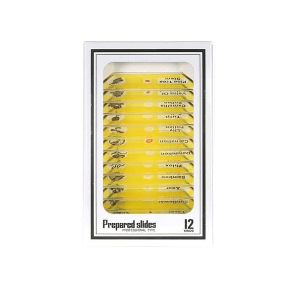 Mikroskopobjektglas Förberedda mikroskopobjektglas Gula Yellow