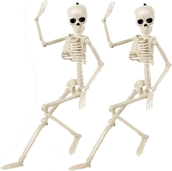 Small Skeleton Decorations Life-Size Full Body Bendable Joints Skeleton 15'' Skeleton Resin 2-pack