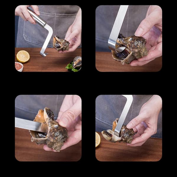 Seashell Opener Tool, Meat Extractor, Portable Seafood Tool for Home and Restaurant