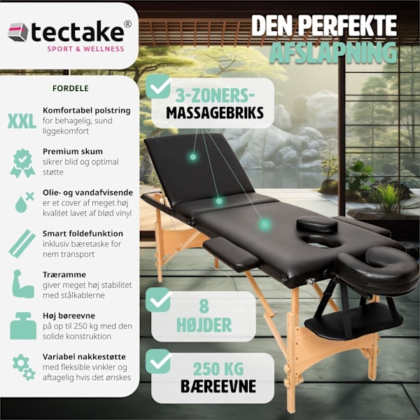 tectake Massagebriks med 3 zoner, polstring + taske -  sort Black