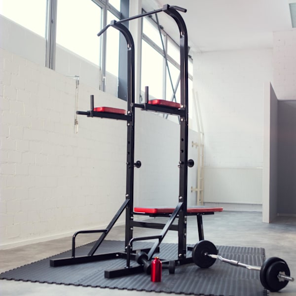 tectake Power rack træningsstativ Reeves 180x95x210cm Black