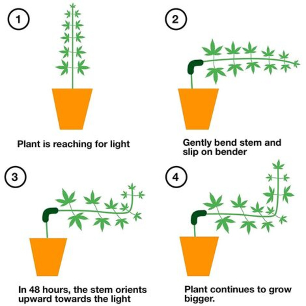 90 Degree Plant Helper Bender til Low Stress Training og Planter Trainerc 20stk Grøn