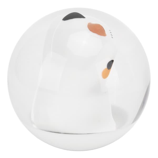 Universal Lykkekat Gearknop Akryl Biltilbehør med 3 Adaptere