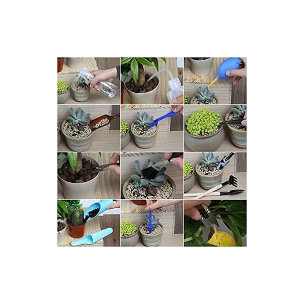 15 st Planteringsverktyg, Suckulent Transplantation Tool Kit, Mini Trädgård Plantering Verktyg