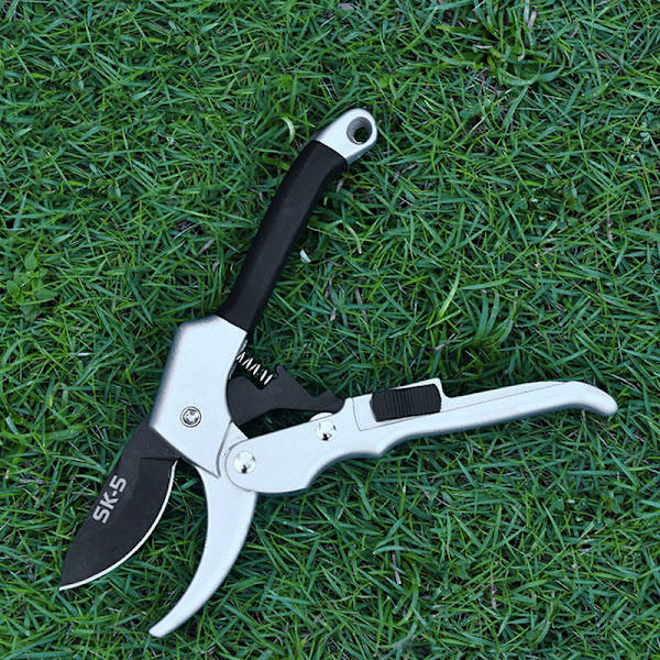 Hagesakser rett blad i stål og titan. Blomstersaks Cutting Bypass Tørr ved. Ergonomiske håndtak