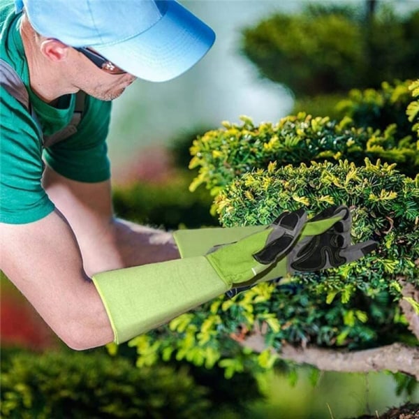 Lange rørbeskyttelseshandsker grønne grøntsags- og blomsterhavehandsker med rosetalje arbejdsbeskyttelse