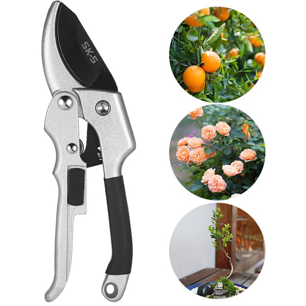 Hagesakser rett blad i stål og titan. Blomstersaks Cutting Bypass Tørr ved. Ergonomiske håndtak