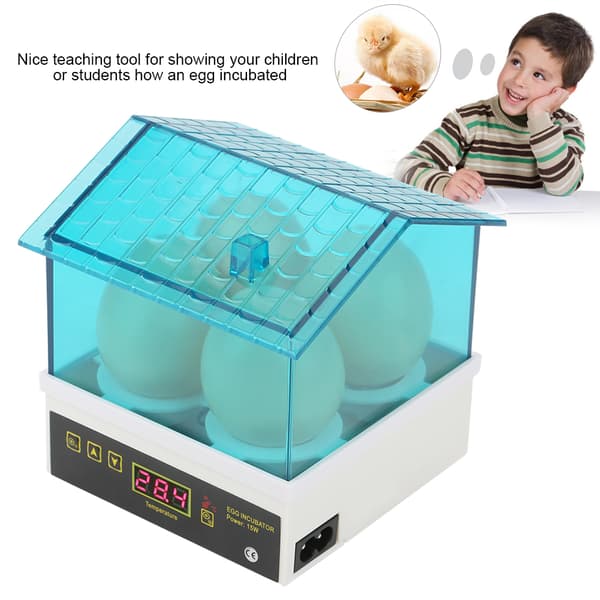 Digital Mini Egginkubator for 4 egg EU-plugg 220V