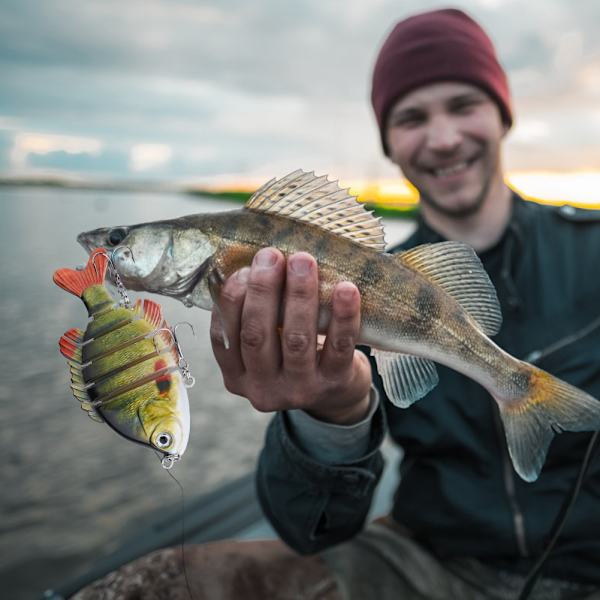 Bionic Multiple Segments Agnfisk Tilapia Form med Treble Krog Fiskegrej 8,5cm3#