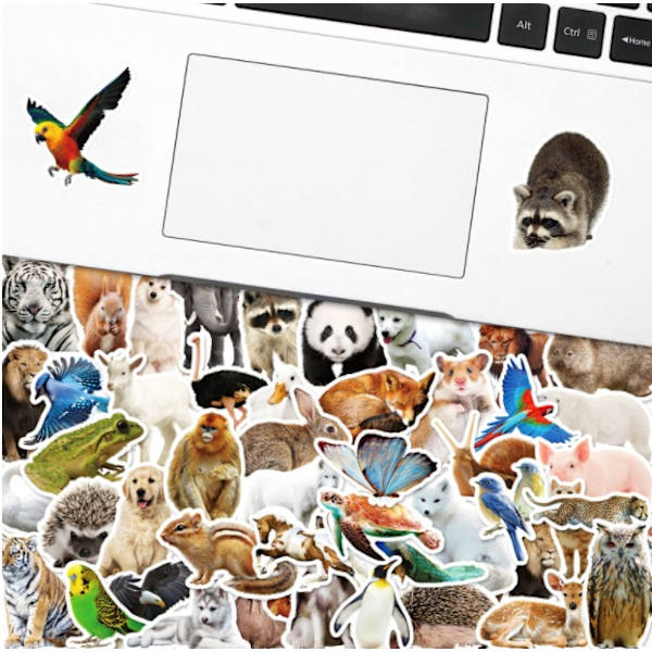 50 realistista eläintarraa Eläinten graffititarrat Toistumattomat vedenpitävät autotarrat Uudet (BP-0000378 Zoo Series 50 Pieces),