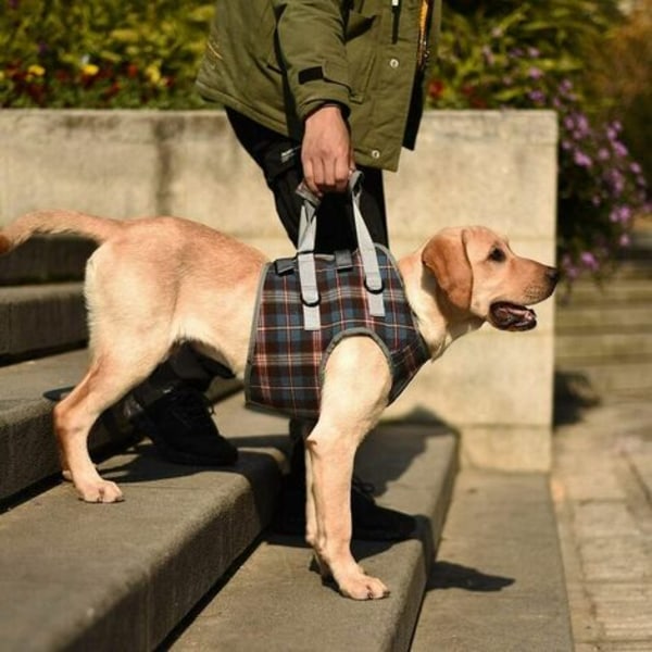 Vammaisten koirien valjaat säädettävät etujalan koiran tukivaljaat, mesh nostovaljaat koiran avun kuntoutukseen, vanhin