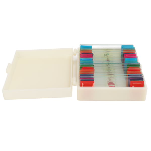 25 High Definition Biologi Undervisnings Slides Insekter Dyr Planter Prøver