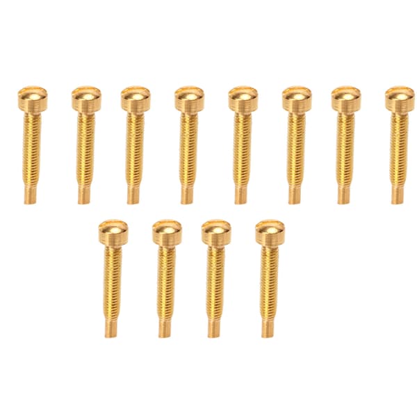 12 Stycken Humbucker Pickup Monteringsskruvar Guld Gitarr Bas Hårdvarudelar