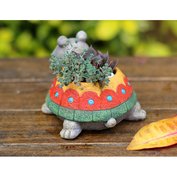 Urtepotte, tegneserieskildpaddeurtepotte, saftig vase, dekorativ urtepotte, mini sukkulent kaktusurtepotte (farve),