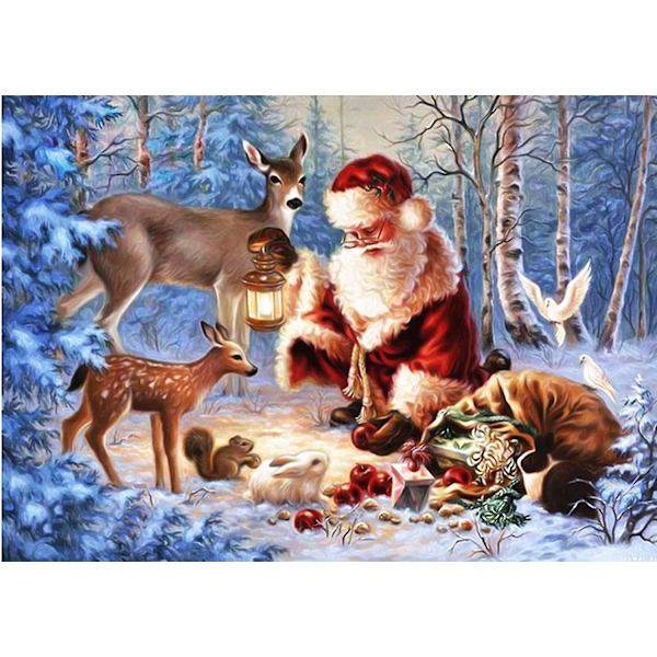 5D-maalaus Timantti Joulupukki Chat Eläinten kanssa Joulu Tee itse ristipisto hartsikoristelu Koti Olohuone 30 * 30cm
