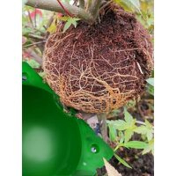 14st Plant Rooting Box Förökningsboll, Ympningslåda Högtrycksförökningsbolllåda (l+m+s, grön) Cisea