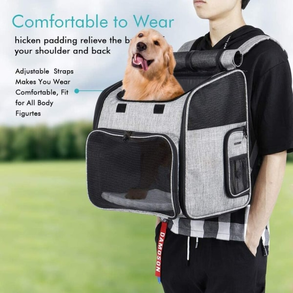 Ryggsäck för husdjur Hundar/katter, bärbar husdjursväska med mångsidig hopfällbar resväska som andas, idealisk för husdjur