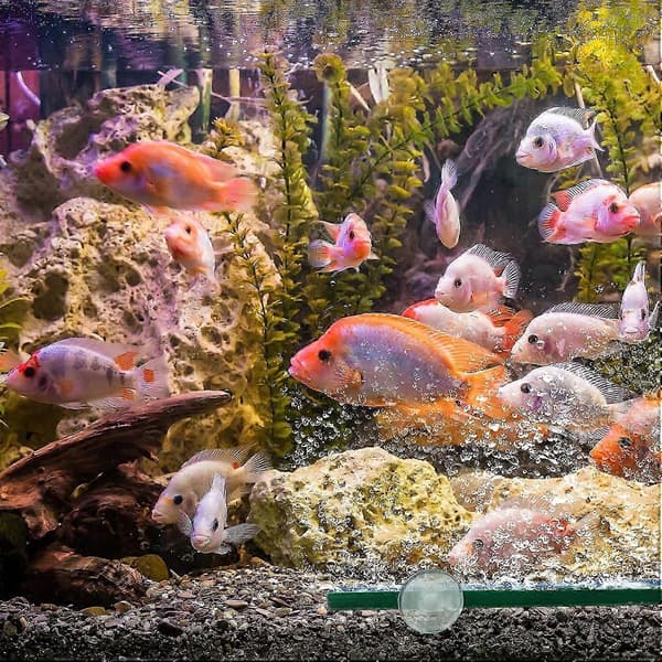 12 tum 30 cm luftstensstång bubbeldiffusor 2 st syreslangkrok 2-pack akvarieluftsten bubbelutsläpp
