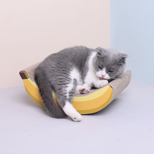 Kat Banan Kradsebræt til Katte og Killinger
