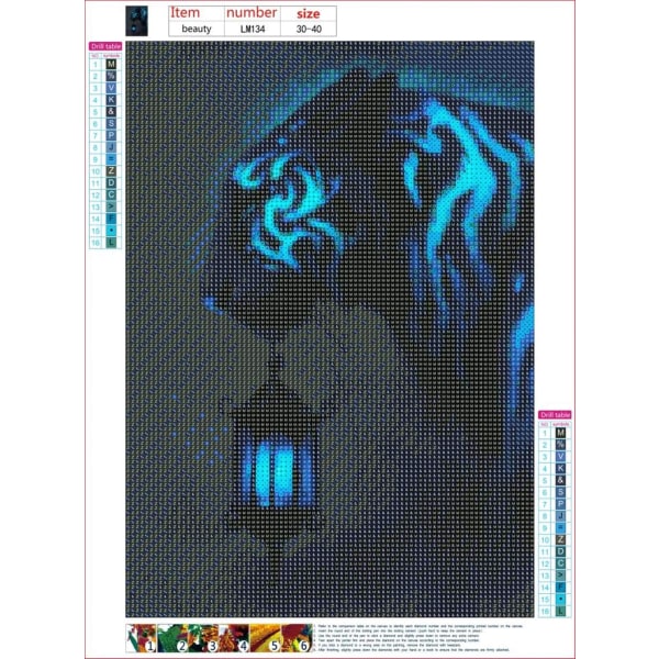 Vuxna diamond painting , tiger med lykta, fullkonst diamond painting strassbroderi, korsstygnssatser för konst, canvas, väggdekor, 30x40 cm,